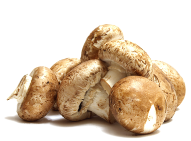 Champignon